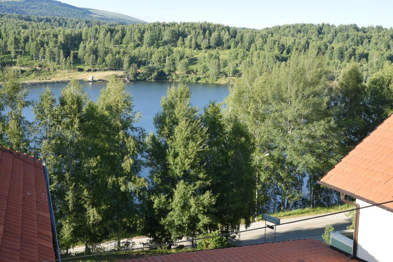 Mm Narcis Vlasina Rid Exterior photo
